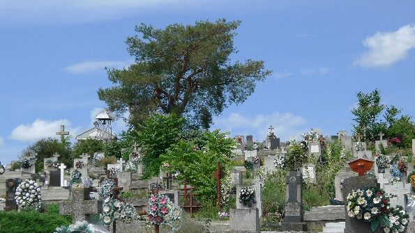 Cimetière de Érmihályfalva, aujourd'hui Valea Lui Mihai